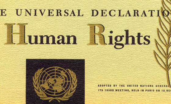 http://cdn.skollworldforum.org/wp-content/uploads/2012/11/human-rights-3.jpg